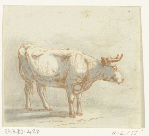 Bull Standing, Facing Right