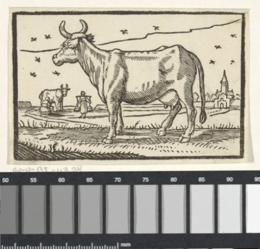 Landscape with two cows