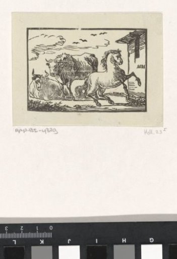 Two Cows and a Rearing Horse