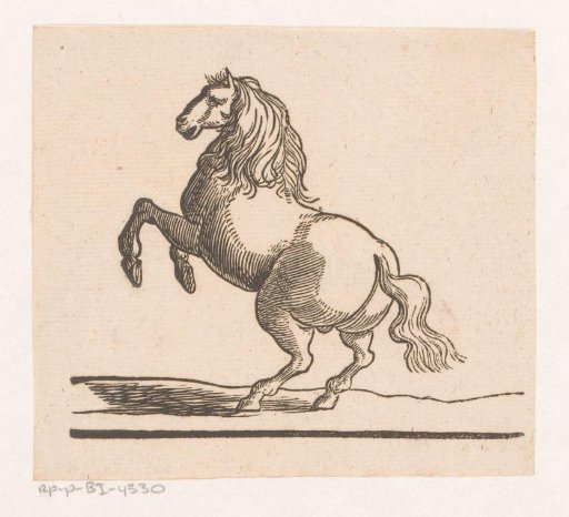 Rearing horse