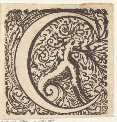 Letter C in a frame with a wolf or a dog