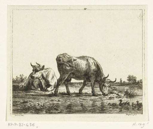 Meadow with Two Cows by a Ditch with Ducks