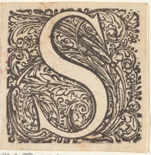 Letter S in an ornamental frame
