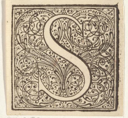 Letter S in an ornamental frame