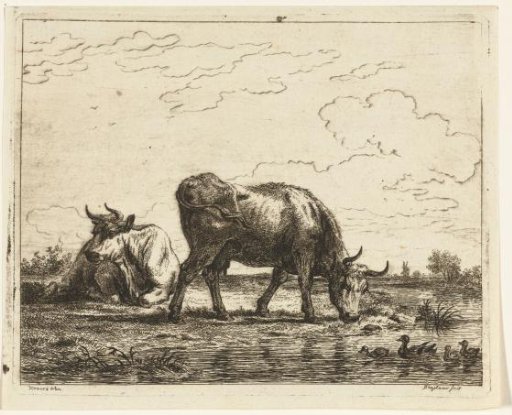 Meadow with Two Cows by a Ditch with Ducks