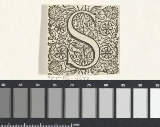 Letter S in a frame with flowers