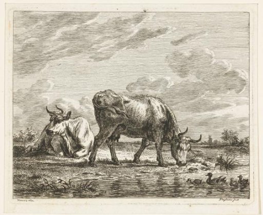 Meadow with Two Cows by a Ditch with Ducks