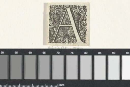 Initial A in a frame with two peacocks