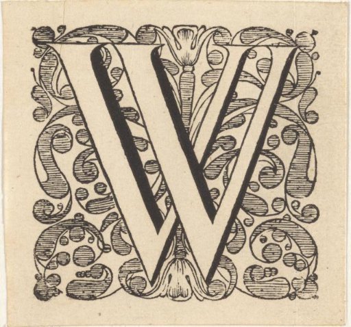 Letter W in a frame with flowers