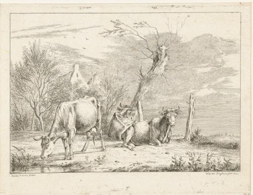 Three Cows by a Willow