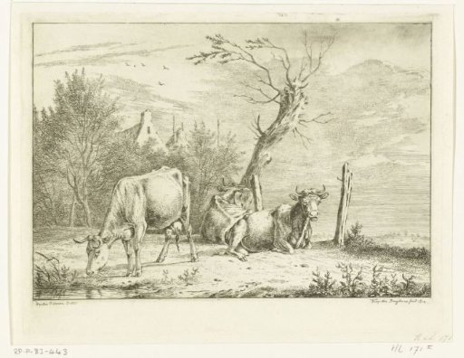 Three Cows by a Willow