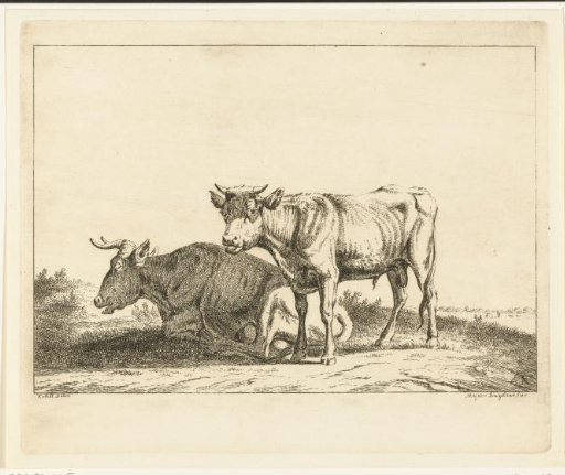 A Cow and a Calf in a Meadow