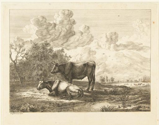 A bull and a cow in a meadow