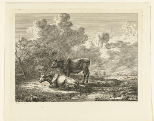 A bull and a cow in a meadow