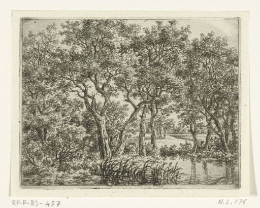 Forest Landscape with Pond