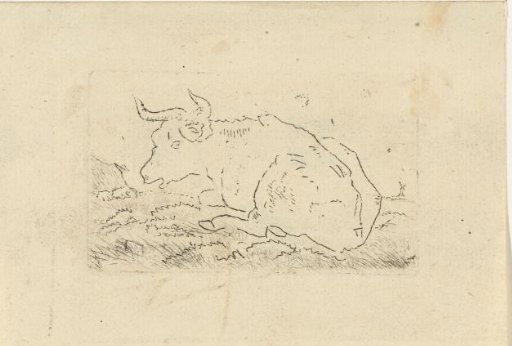 Recumbent cow
