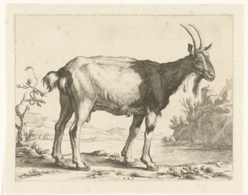 Portrait of Willem Bartjens