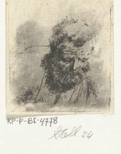 Head of an old man with a beard