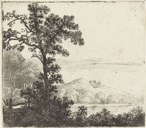 Landscape with a tree by a riverbank