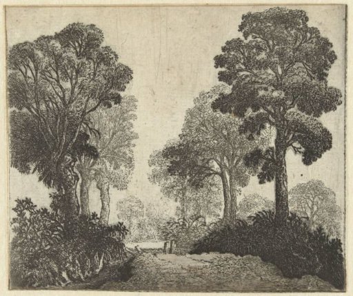 Landscape with trees along a path