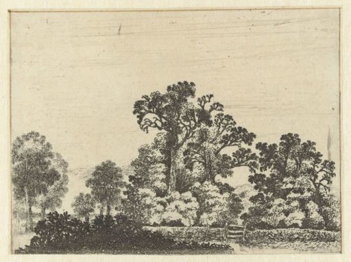 Landscape with a closed gate