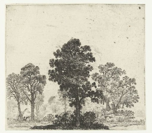 Landscape with a tree in the middle