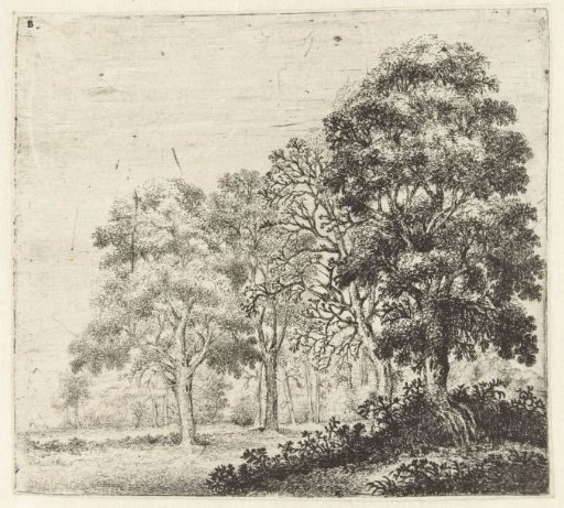 Landscape with a tree