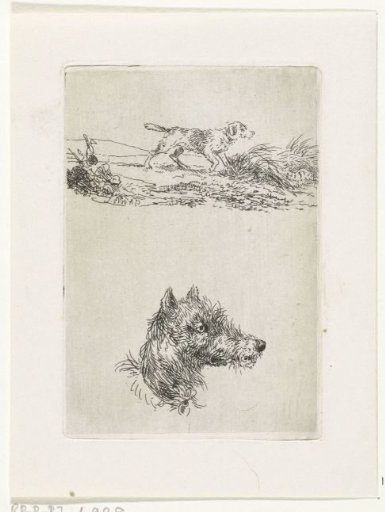 Dog's head and dog in landscape