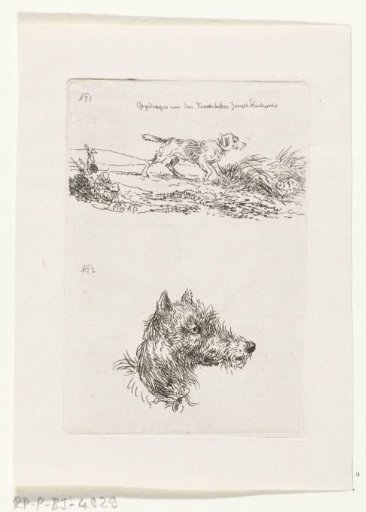 Dog's head and dog in landscape