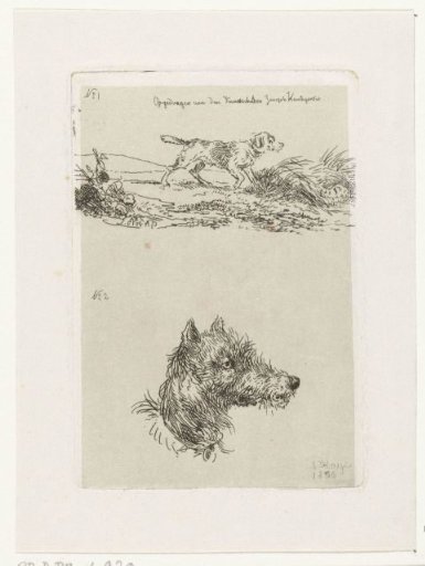 Dog's Head and Dog in a Landscape