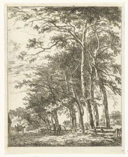 Two standing figures near tall trees