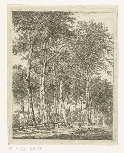 Resting figures near tall trees