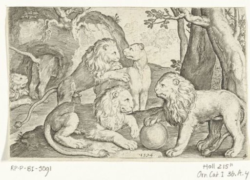 Lions