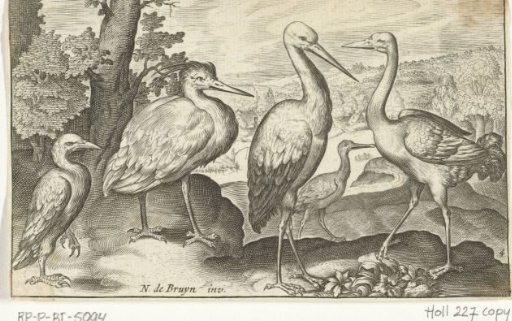 Stork, crane, heron and spoonbill