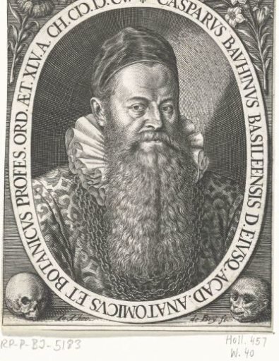 Portrait of Caspar Bauhin