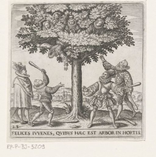 Jonkvrouwenboom