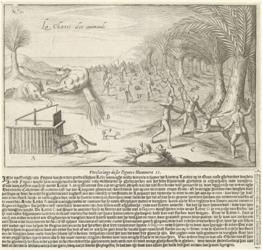 Hunting of elephants and other animals