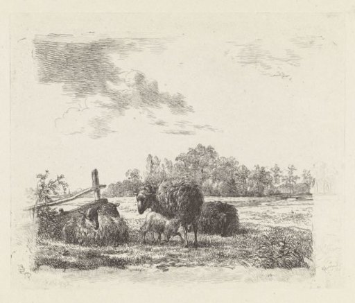 Meadow with sheep
