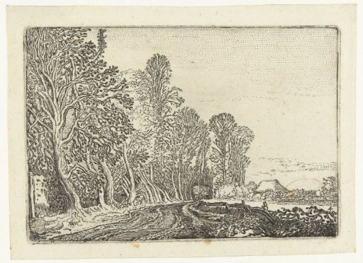 Path Along a Forest Edge