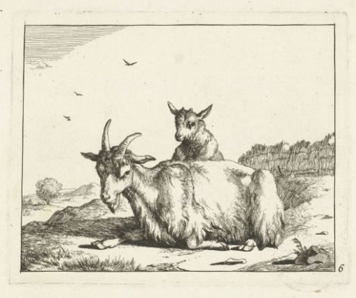 Lying goat with lamb