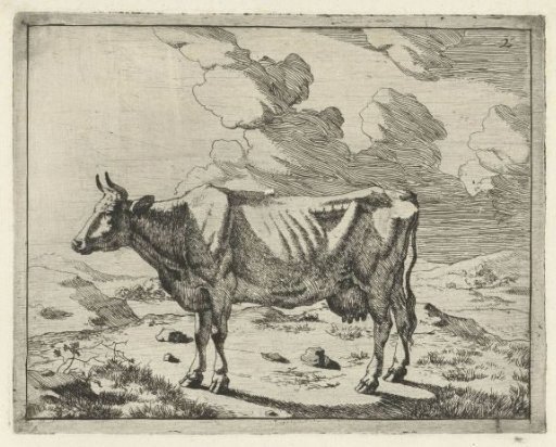 Standing cow against cloudy sky