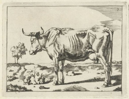 Standing cow, with tree