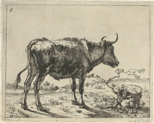Standing Bull at Tree Stump