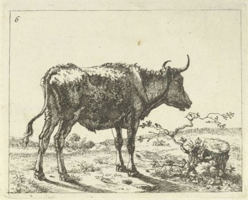 Standing Bull at Tree Stump