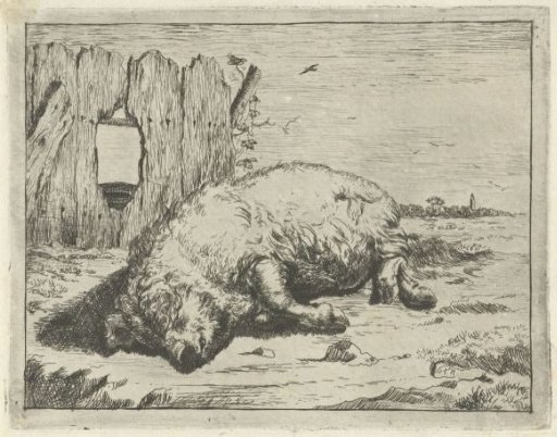 Reclining Pig
