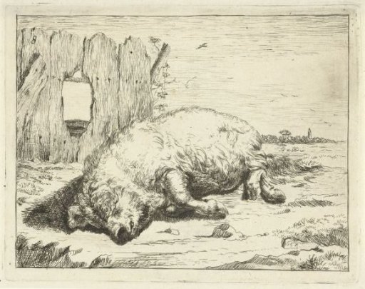 Reclining Pig