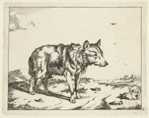 Standing Wolf, and Profile