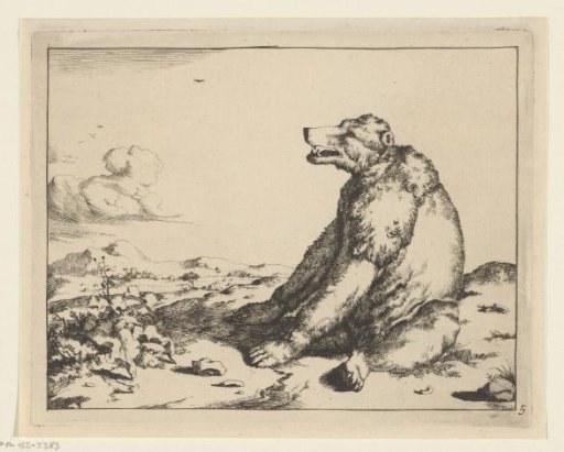 Sitting Bear, and Profile