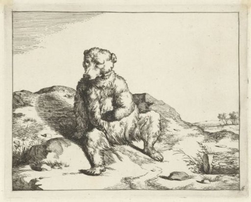 Sitting Bear Seen from the Front