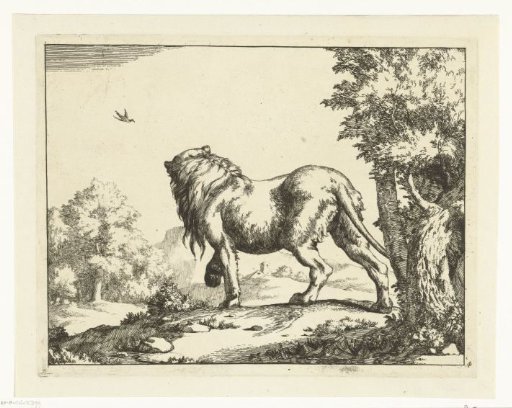 Standing lion, seen from the back